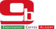 9bar logo intero